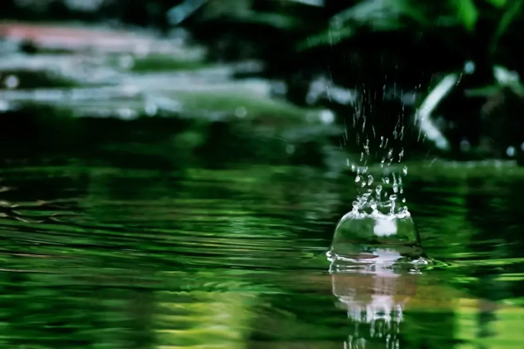 Blog Dia Interamericano Del Agua