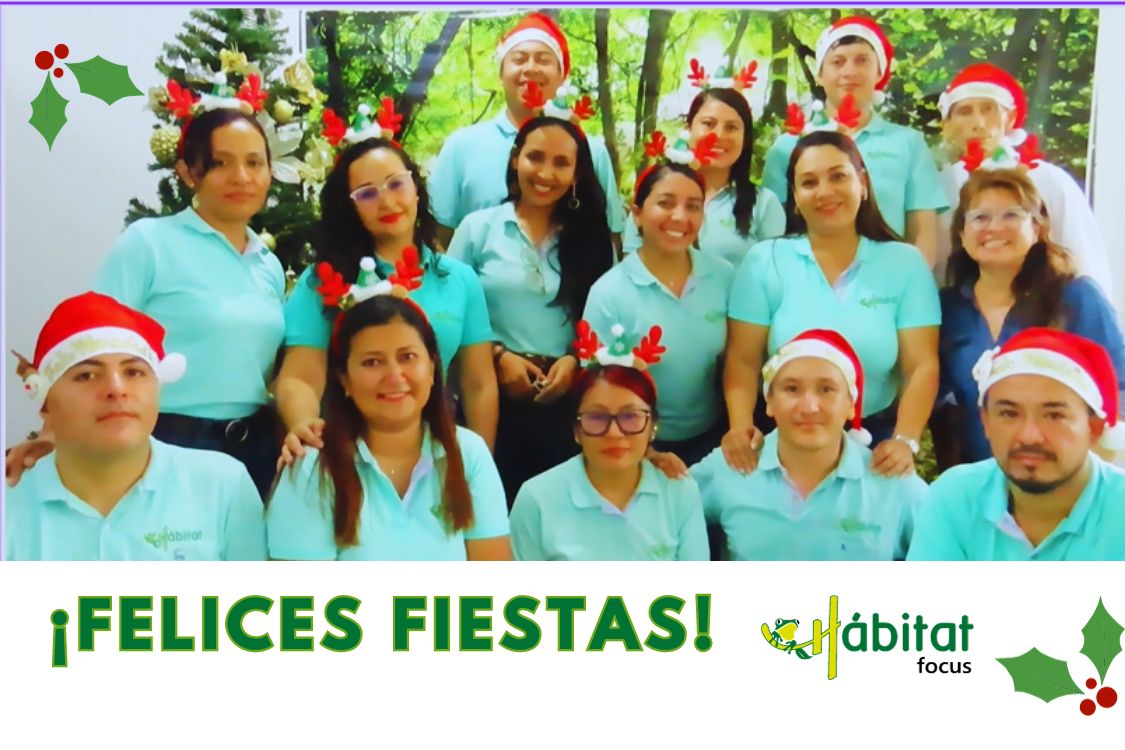 Blog Saludo Navidad