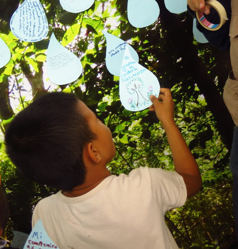 Blog Dia Educacion Ambiental 07