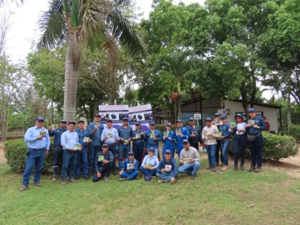 Compensacion Inversion 01