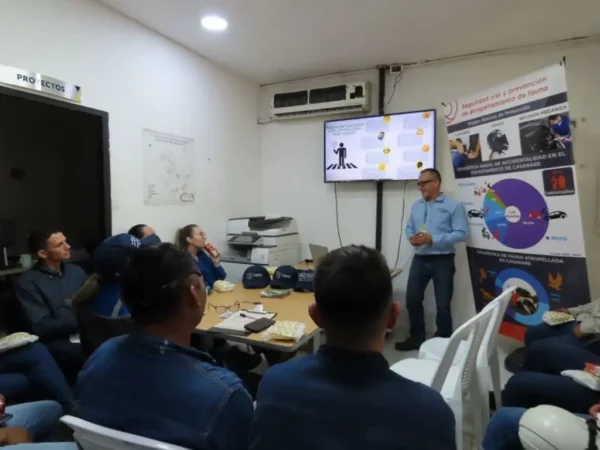 Compensacion Inversion 05