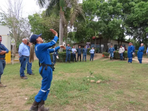 Compensacion Inversion 06