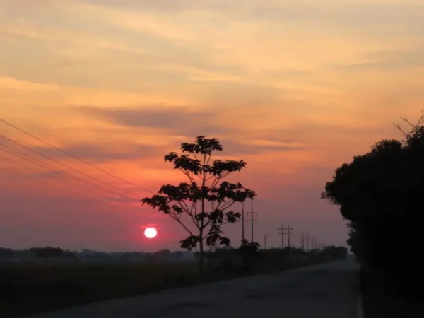 Compensacion Inversion 07