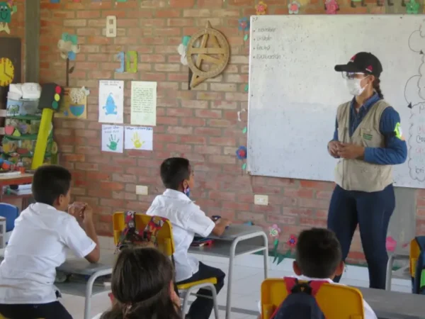 Compensacion Inversion 11