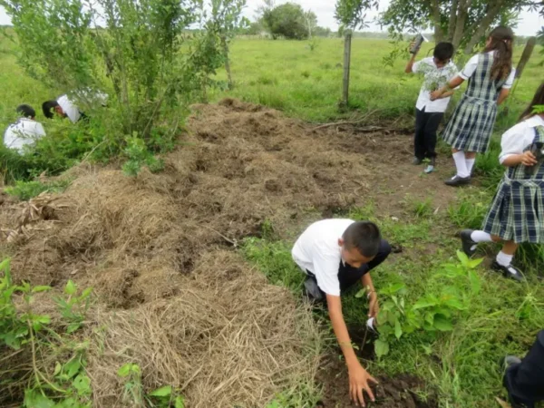 Compensacion Inversion 13